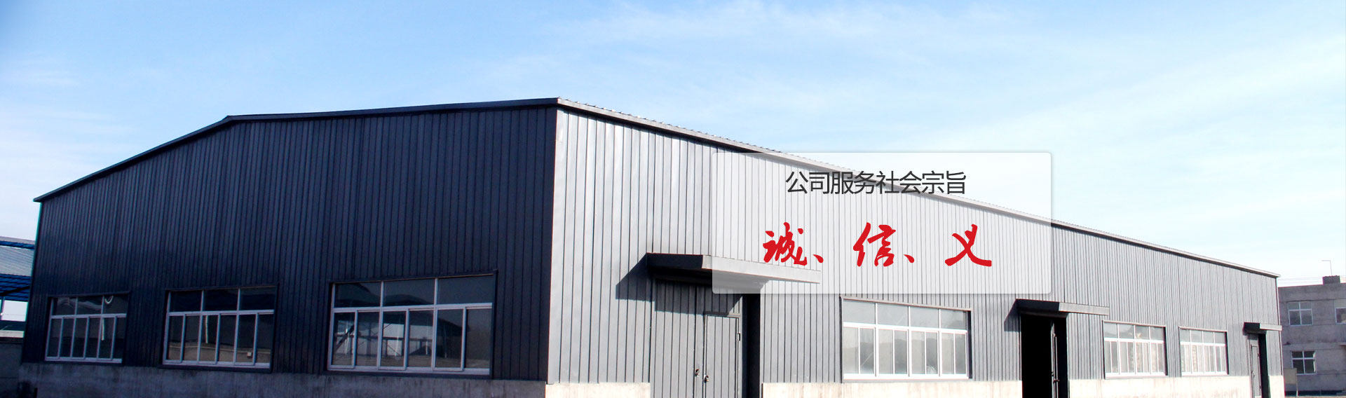 91视频电影网